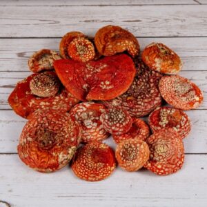 Amanita muscaria dried caps for shop